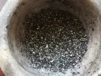 Make Black and jalapeño step 11