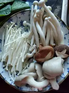 Make Shrooms step 0