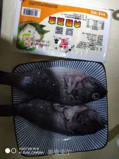 Make Black fish tofu soup step 0
