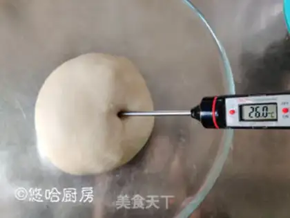 Make Salt bread step 4