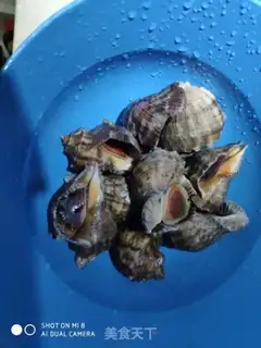 Make Soy sauce and conch step 0