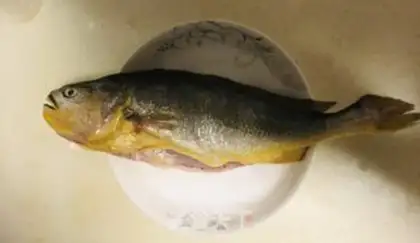 Make Vacuated yellowfish step 0