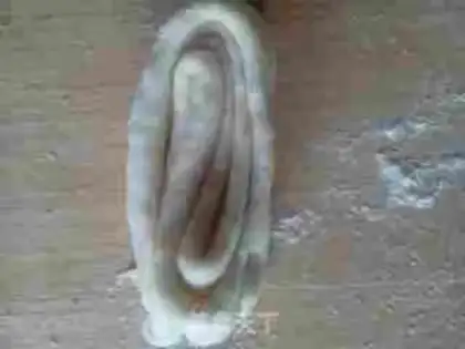 Make Bean rolls step 16