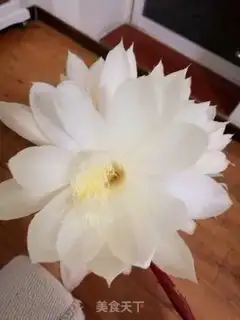 Make The silver spoon of a flower step 1