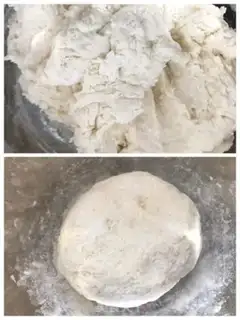 Make Pork dumplings step 0