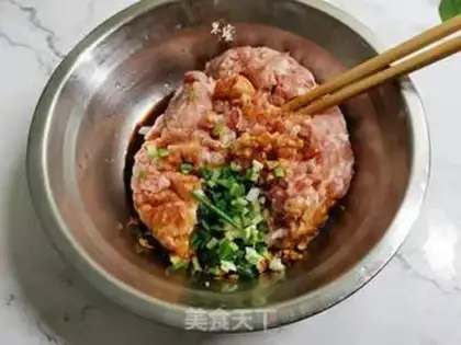 Make Pork dumplings step 0