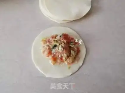 Make Pork dumplings step 4