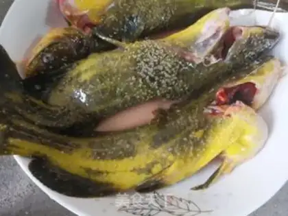 Make Yellowfish soup step 0