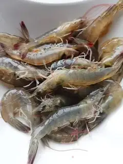 Make Shrimp step 0