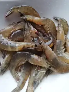 Make Shrimp step 2