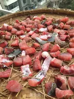 Make Fish step 2