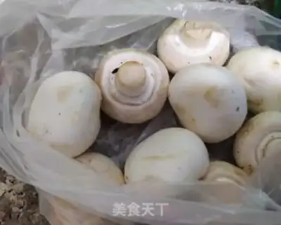 Make Noodles for mushrooms step 2
