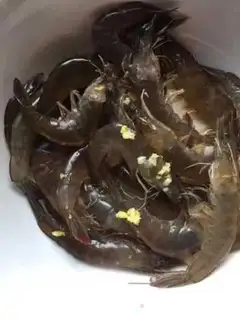 Make Boiled shrimp step 0