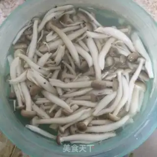 Make Griffon celery step 1