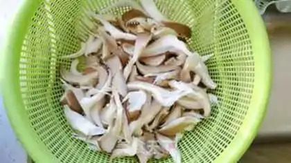 Make Bake the mushrooms step 0