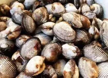 Make Garlic spicy hair step 0