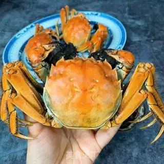 Make Crabs step 6