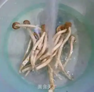 Make Tea mushroom pork dumplings step 3