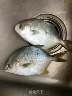 Make Vacuated goldfish step 0