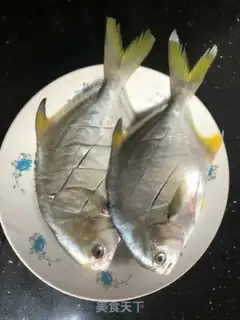 Make Vacuated goldfish step 1
