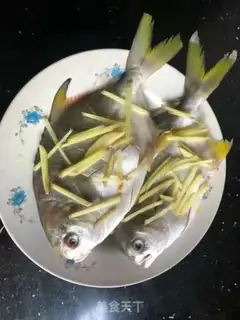 Make Vacuated goldfish step 2