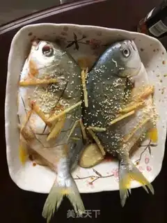 Make Vacuated goldfish step 4