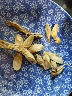 Make Roast chicken stew with ginseng date step 0