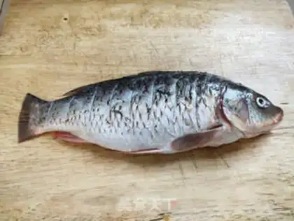 Make Carp step 0