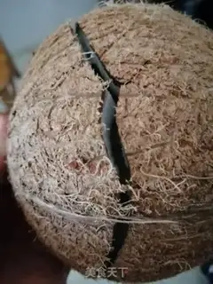Make Homemade coconuts step 1
