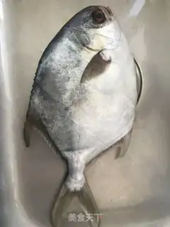 Make Vacuated goldfish step 0