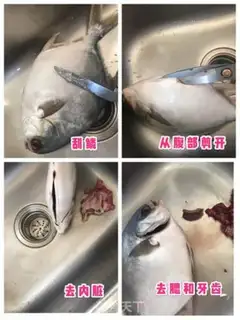 Make Vacuated goldfish step 1