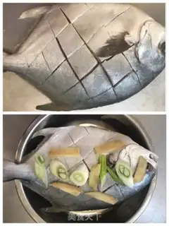 Make Vacuated goldfish step 2