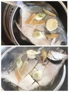 Make Vacuated goldfish step 3