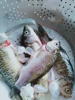 Make Quick-ass beer fish step 0