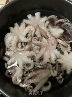 Make Red oil, octopus step 0