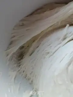 Make Lazy fried step 4