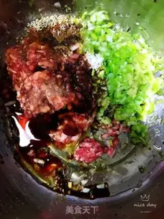 Make Beef dumplings step 4