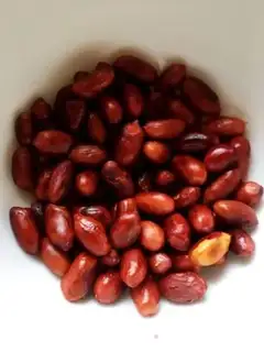 Make Apricot step 0