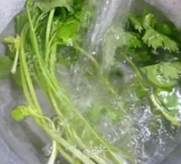 Make Squeeze the celery graft step 7