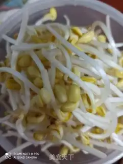Make The bean sprouts burn duck blood step 1