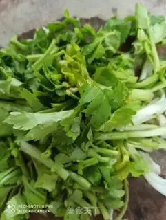 Make Celery radish step 1