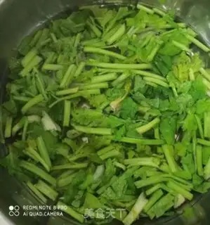 Make Celery radish step 2