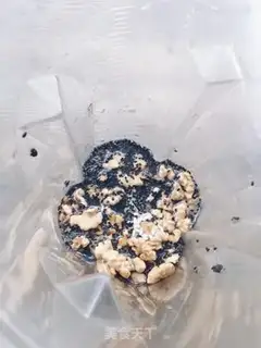 Make walnut sesame paste step 5
