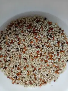 Make quinoa rice congee step 1