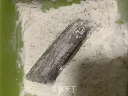Make Fried Belt step 3