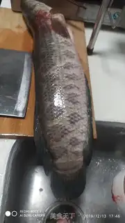 Make Blackfishballs step 0