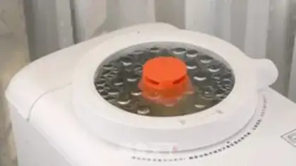 Make Pumpkin step 5