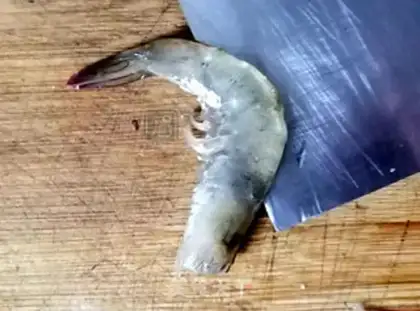 Make Sphinx shrimp step 2
