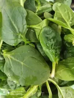 Make Spinach with carrots step 0