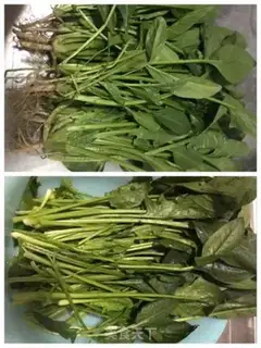Make Pineapple step 0